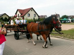 Dożynki 2022